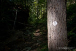 red river gorge - trail 221
