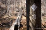 red river gorge - sheltowee trail 100